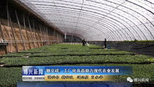 耿文祥 工廠化育苗 助力現代農業(yè)發(fā)展