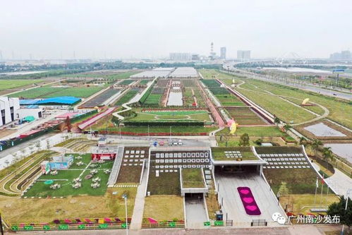 春節(jié)去哪 園 ▏看首個標志性農業(yè)ip,坐小火車,漫步520瓜果長廊