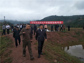 主動作為 合力助推云南雙柏縣高端水產養(yǎng)殖跨越式發(fā)展